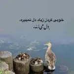 دانلود آهنگ میگم هیچ وقت آزارش ندی هیچوقت اونه نرنجانی از محسن لرستانی
